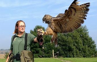 Medieval Falconry Day