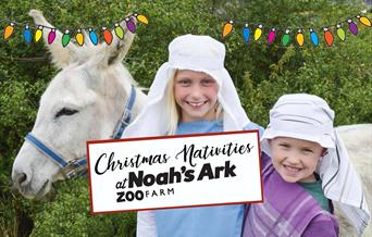 School Christmas Nativities at Noah's Ark