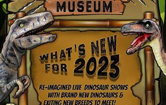 Dinosaur Weekend Poster