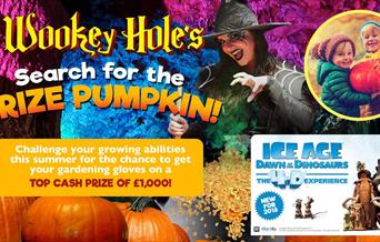 The Wookey Hole Caves Pumpkin Competition