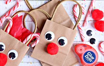 Raindeer gift bag, Christmas