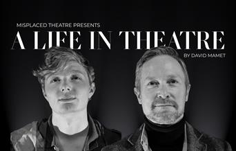 A Life in the Theatre