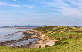 Sand Point coastline featuring fields, rocky beaches and the sea