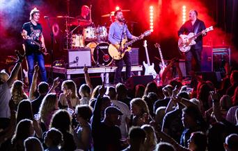 A band performing on stage with a large crowd in the foreground