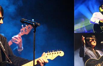 Barry Steele & Friends: The Roy Orbison Story