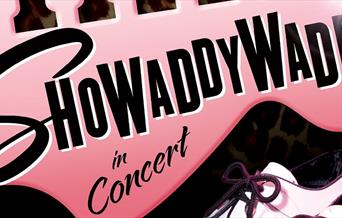 Showaddywaddy
