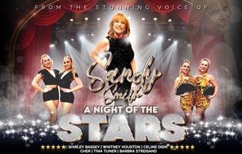 Night of the Stars - The Greatest Hits
