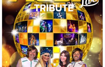 ABBA TRIBUTE TAKE A CHANCE ON US!