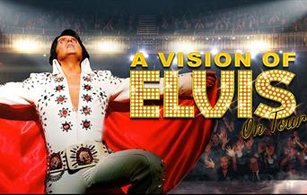 A Vision of Elvis