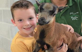 Child cuddling a goat at Puxton Park