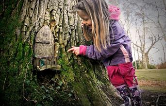 Young girl looks at little door in tree