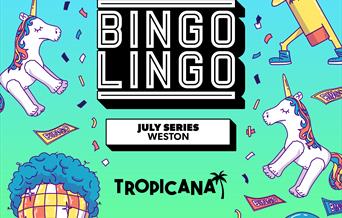 Bingo Lingo Square