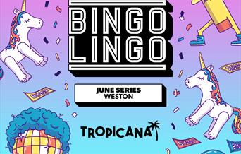 Bingo Lingo June