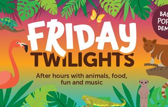 Friday Twilights at Bristol Zoo Gardens