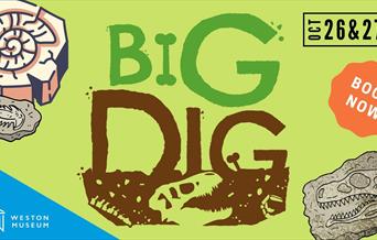 Big Dig event image
