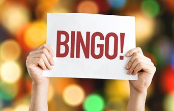 Two hands holding up a bingo card with the word bingo on it