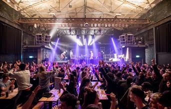 A crowd of bingo lingo partygoers standing up and partying at their tables