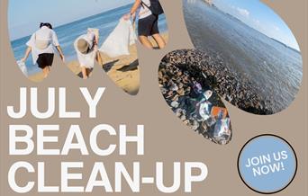 Beach Clean and Litter Picking Event - Sophie's SUPER Litter Picking group