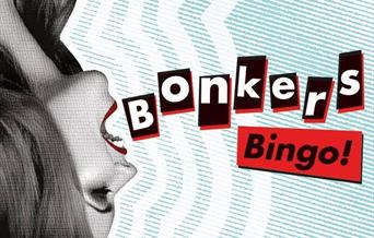 Bonkers Bingo