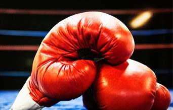 A pair of red boxing gloves in a boxing ring