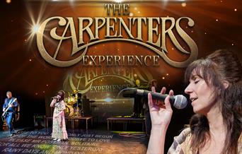 The Carpenters Experience