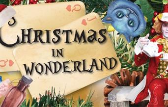 Wonderland Christmas Parties