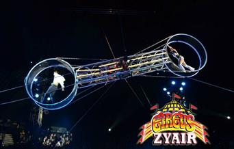 Circus Zyair