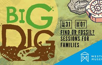 Big Dig poster