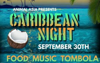 Caribbean Night