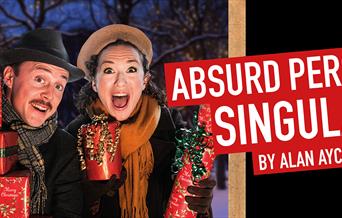 Absurd Person Singular