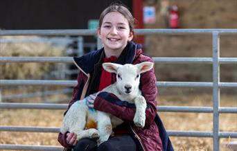 A girl sitting in front of a five-bar farm gate nursing a lamb on her lap at the Court Farm visitor attraction in Weston-super-Mare