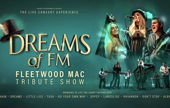 Dreams of Fleetwood Mac