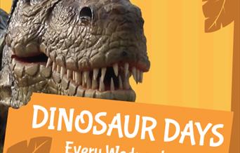 Dinosaur Days