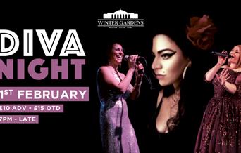 Diva Night