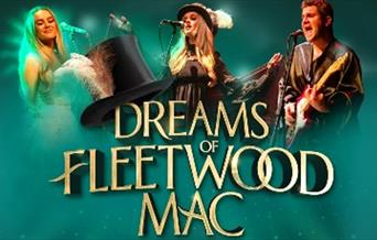Dreams of Fleetwood Mac