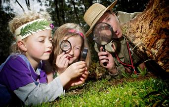 Family Fun Friday - Creepy Crawlies'