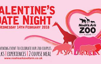 Valentine's Date Night at the Zoo