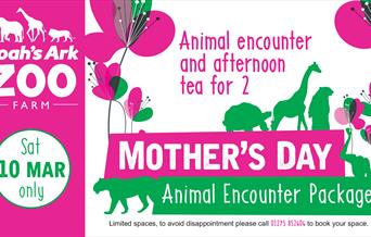Mother's Day Package
