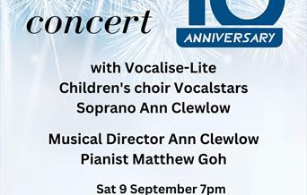 Vocalise Concert poster with fireworks in the background.
