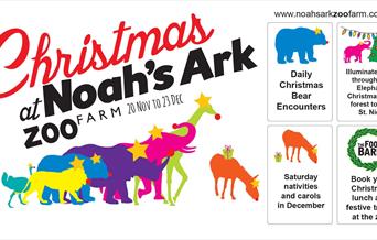 Christmas at the Ark