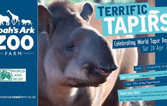 World Tapir Day