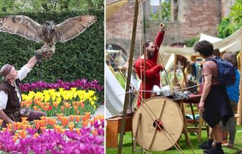 Falconry & Vikings Day