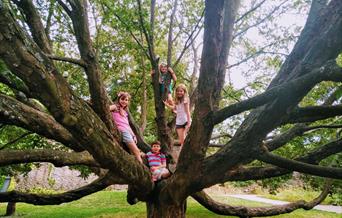 Easter Trail April 2020