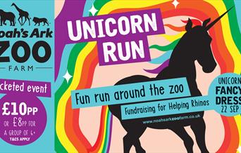 Unicorn Run