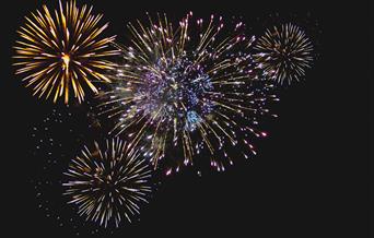 Fireworks against the night sky