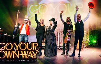 Fleetwood Mac tribute poster