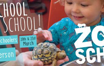 Home School to Zoo School
