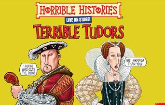 Horrible Histories: Terrible Tudors