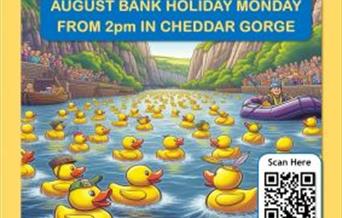 Cheddar lions annual duck race