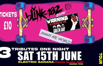 Bright pink poster with event details.  Drawing of a skateboard.